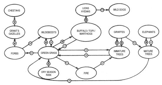 Ecoscience: Ecosystem Stability in the Serengeti